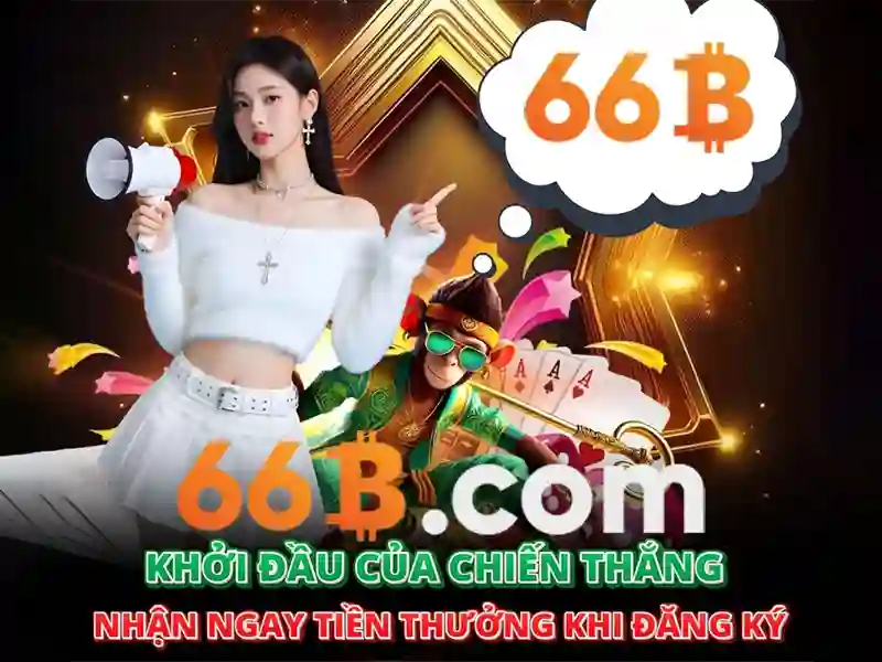 66b là gì