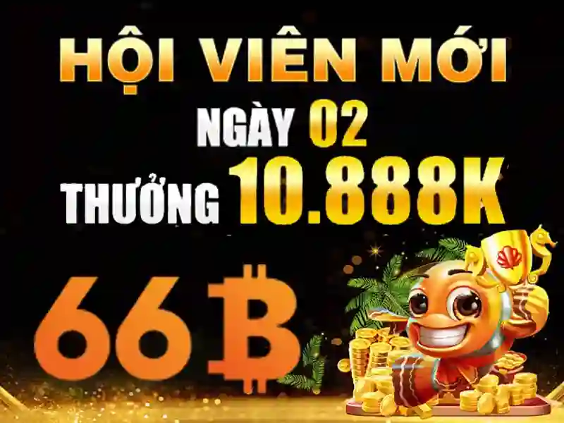 Hiểu cách hoạt động của 66B