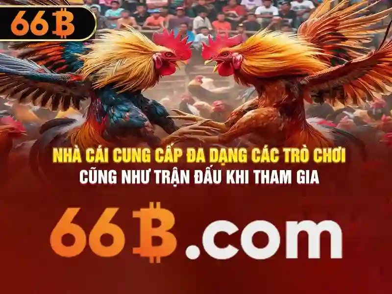 Các ứng dụng tiềm năng của 66B