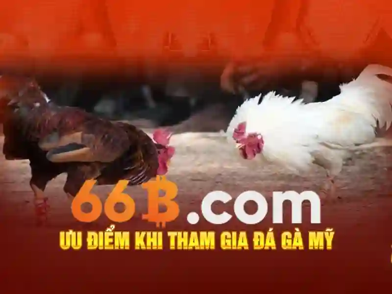 đăng xuất 66b – Định vị thương hiệu và trải nghiệm người dùng