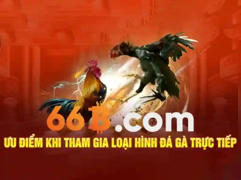 66B: Mô hình ngôn ngữ 66 tỷ tham số và ảnh hưởng của nó