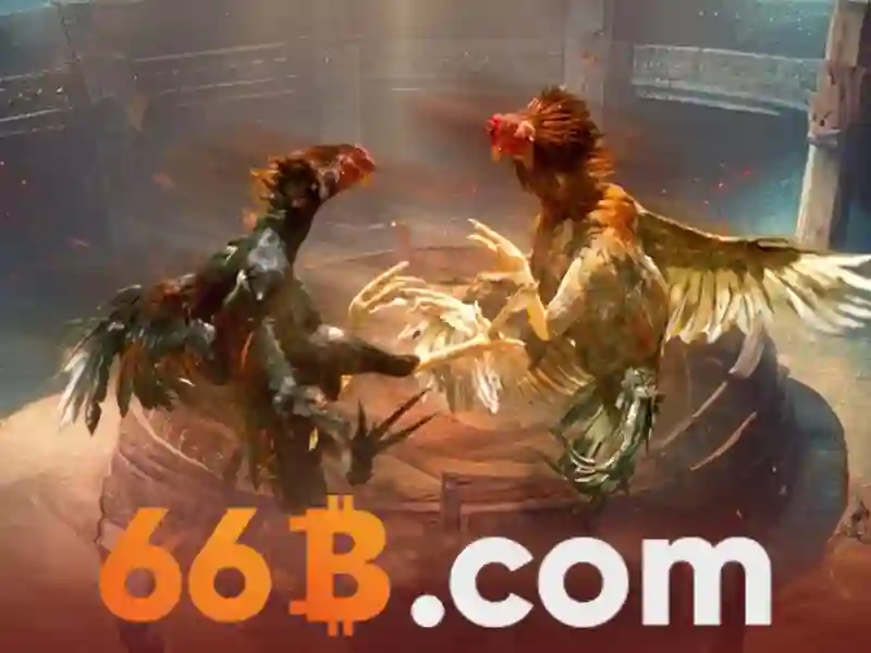 Tóm tắt và lời mời trải nghiệm của 66b nguyễn sĩ sách p15, q tân bình