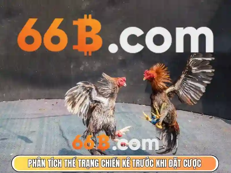 66b là gì? Một số nhận định về mô hình ngôn ngữ 66B