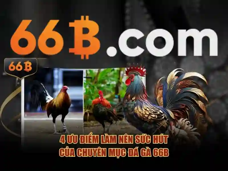 Sản phẩm và dịch vụ cốt lõi của 66b uy tín không
