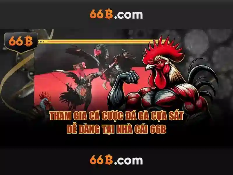 Khả năng mở rộng và thách thức của 66b\n<p style=