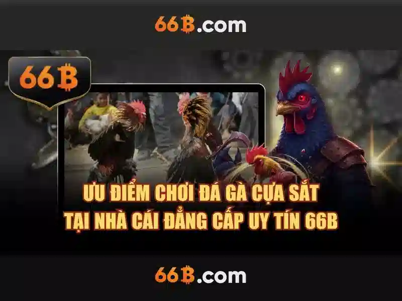 66b: Tổng quan và ý nghĩa
