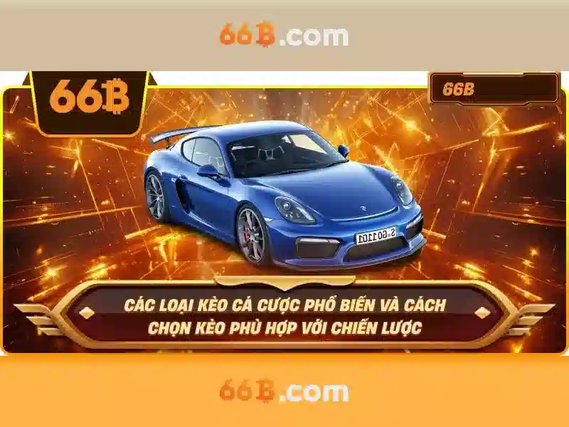 66b triều khúc map – Tổng quan, trải nghiệm và đột phá