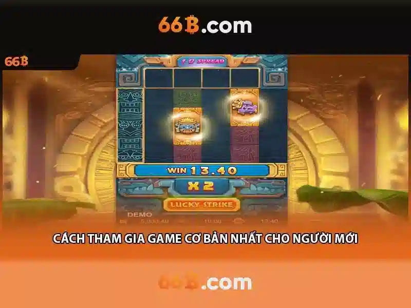 66B là gì?