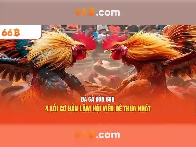 66B là gì?