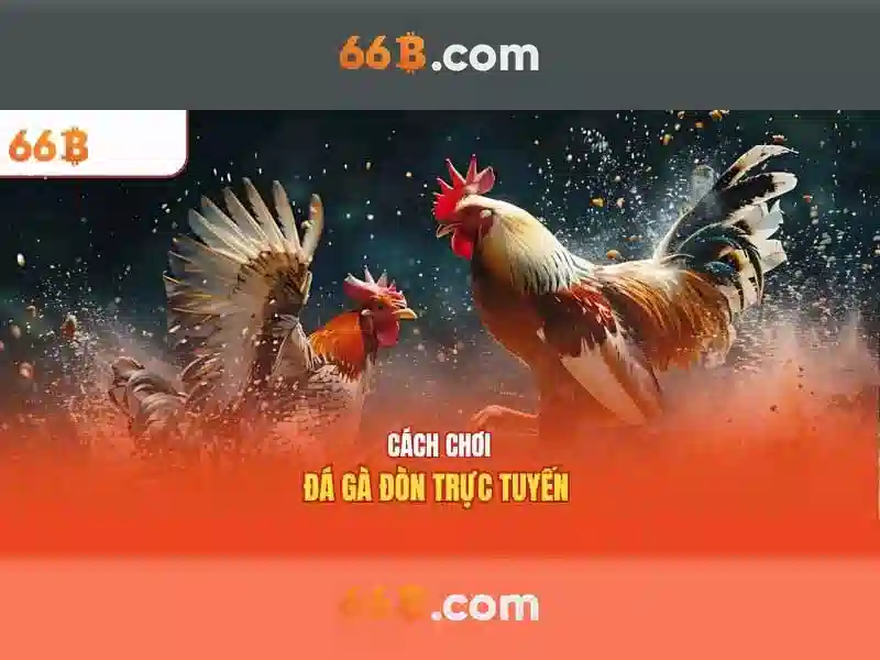 Khái niệm căn bản về 66b và vị thế trong AI