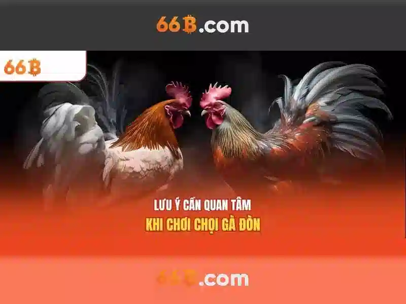 66b an toàn không – tổng quan chủ đề và giá trị cốt lõi
