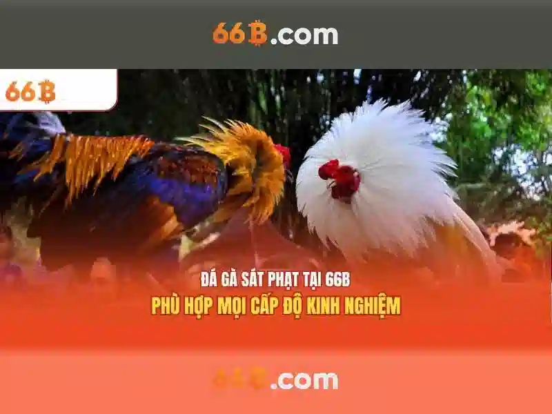 66b cách mạng tháng 8 – Hành trình đổi mới và giá trị kết nối