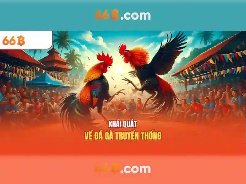 Khái niệm về 66b