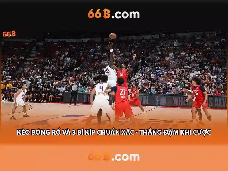 66b: một khái niệm trong thế giới số