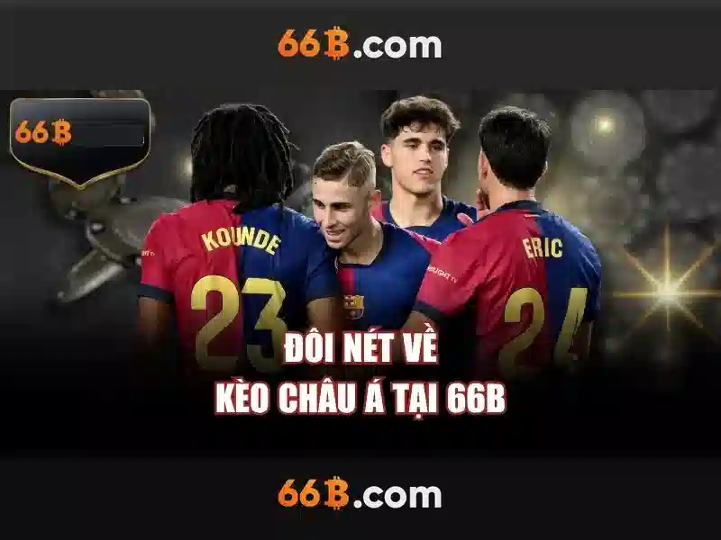 66B là gì?