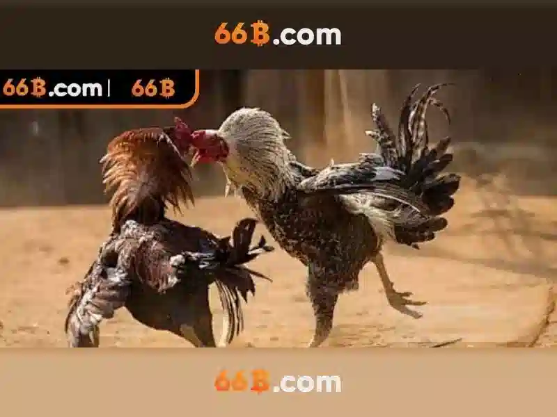 Ứng dụng và ví dụ thực tế