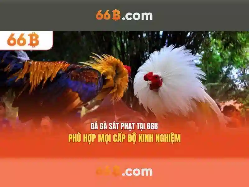 66B: một mô hình ngôn ngữ quy mô lớn