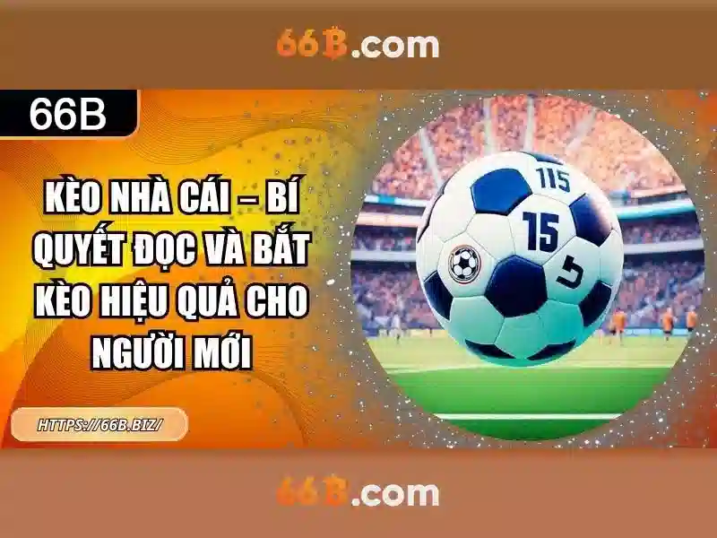 66b và hành trình khám phá