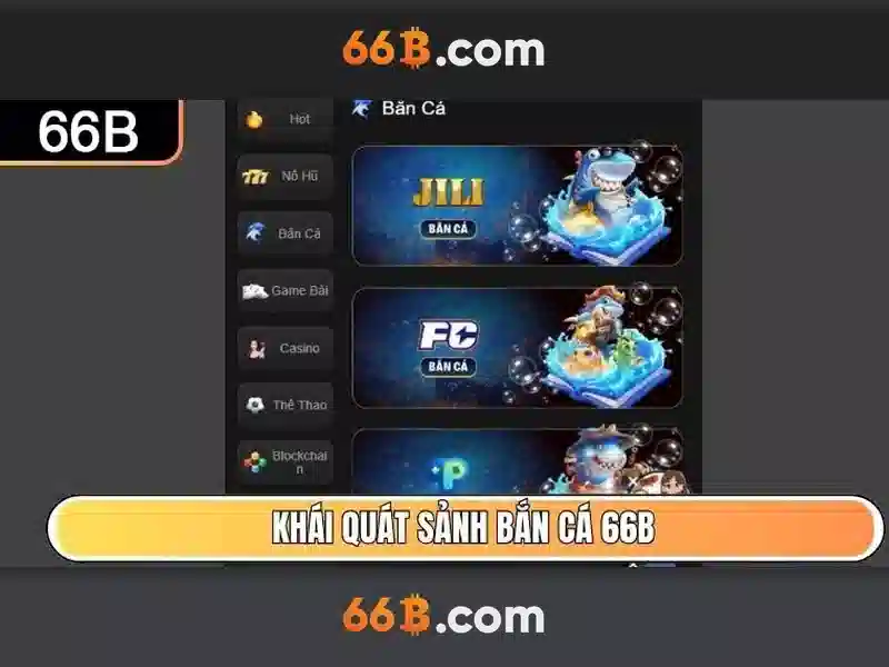 Khái niệm 66B