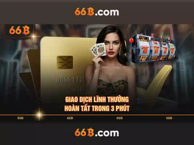 66B là gì?