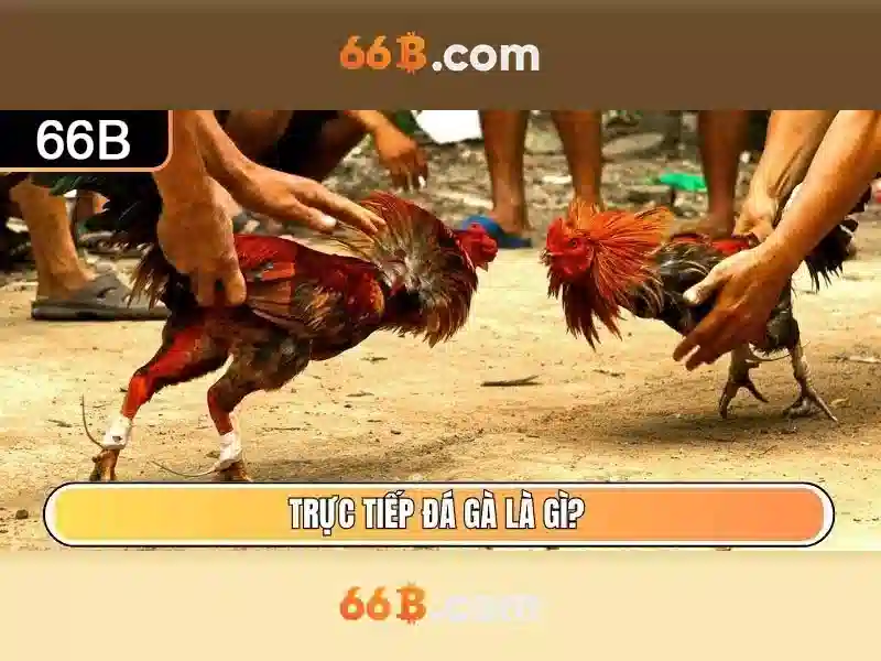66B: Mô hình ngôn ngữ quy mô lớn có 66 tỷ tham số