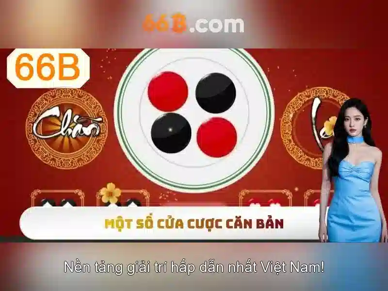 66b là gì?