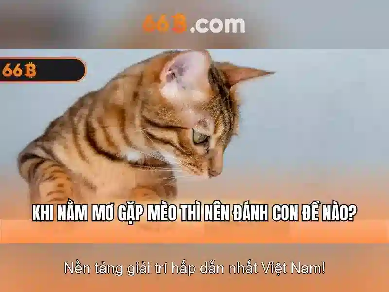 66b: ý nghĩa và ứng dụng trong công nghệ và thiết kế