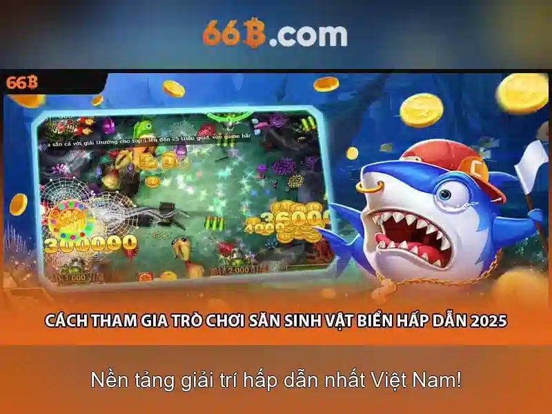 Giới thiệu về 66b