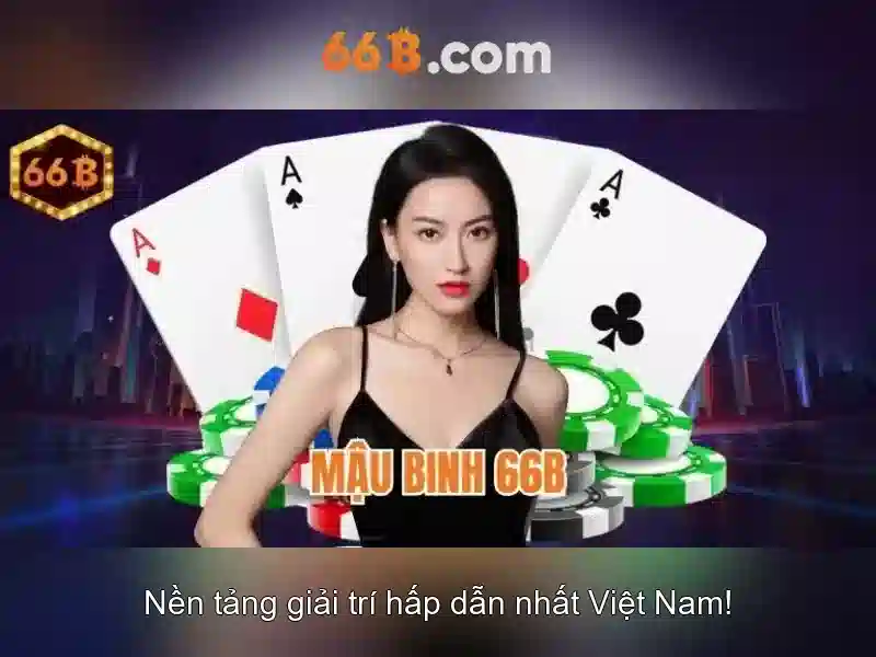 Giới thiệu về 66B