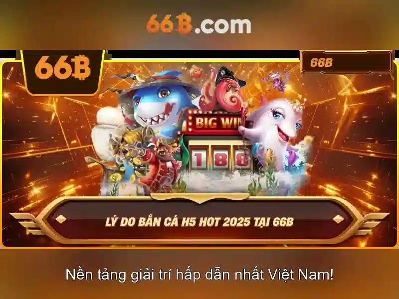 66b: Khái quát và ứng dụng