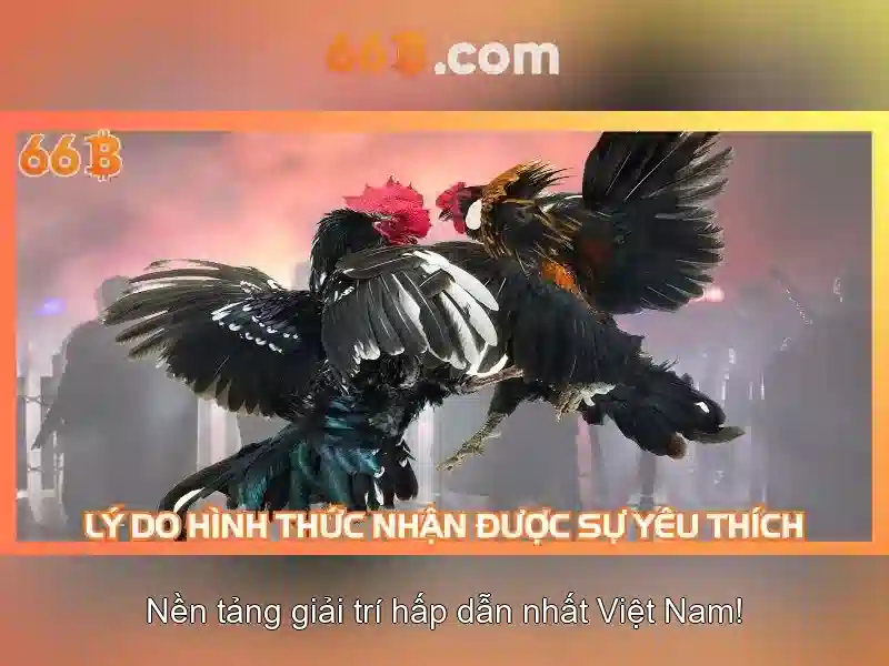 Đặc điểm kỹ thuật và tham số
