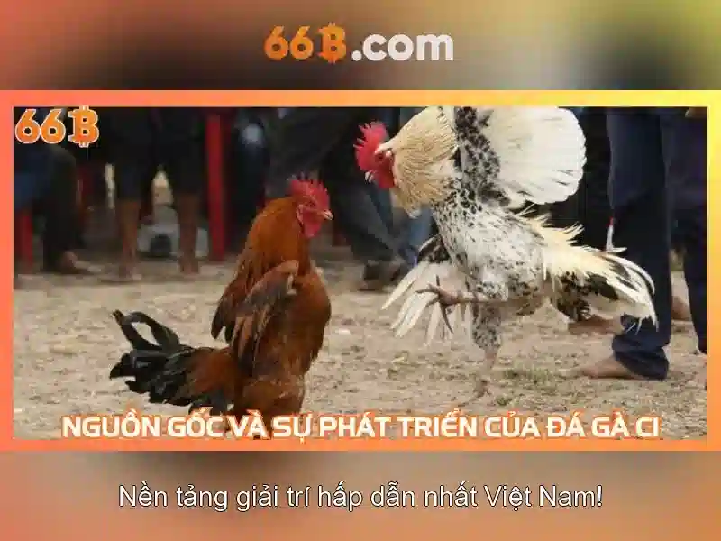 Ví dụ điển hình