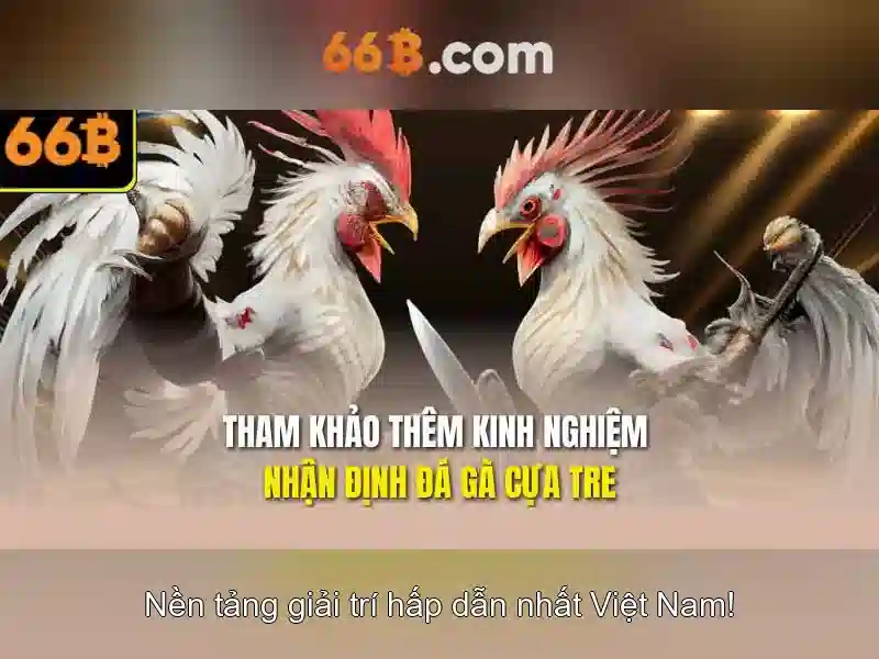 Hiệu suất và tối ưu hoá