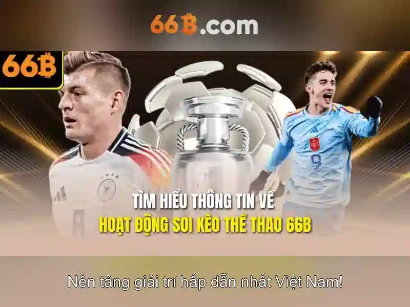 Kết luận