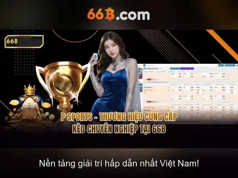 66b an toàn không – Hành trình tin cậy và trải nghiệm an toàn