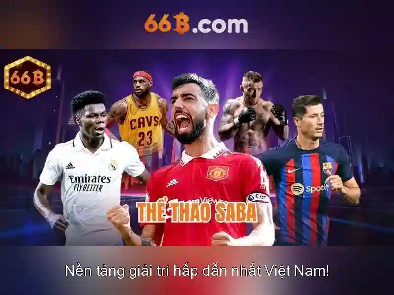 66b: khái niệm, nguồn gốc và ứng dụng