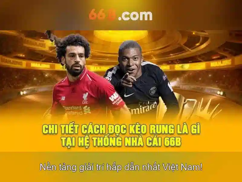 66b: khái niệm và ý nghĩa