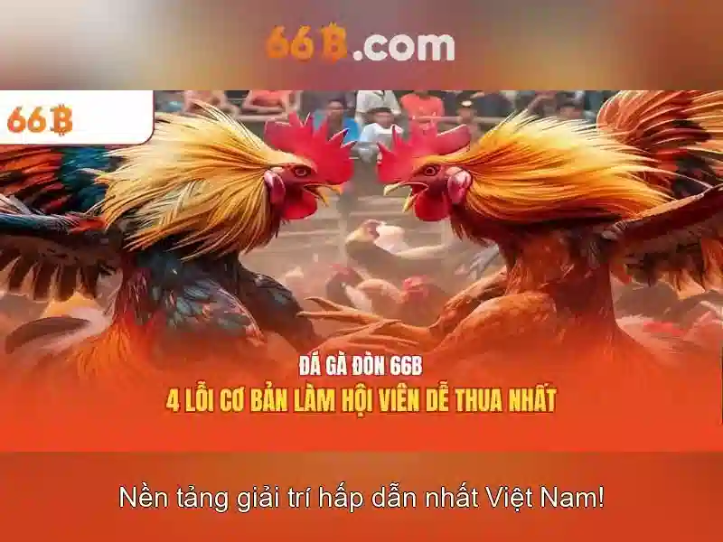 66B trong công nghệ hiện đại