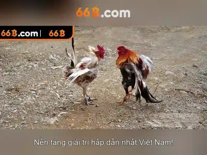 66B: Khai pha mau mo hinh 66 ty tham so