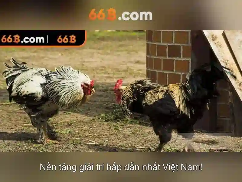 66B: Mô hình ngôn ngữ quy mô lớn và hành trình khám phá