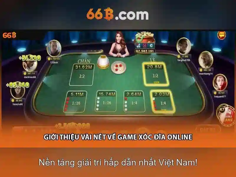 66B là gì?