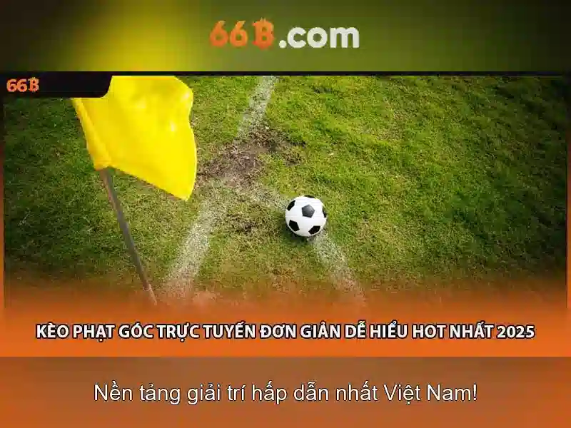 Tương lai và tối ưu hóa\n<p style=
