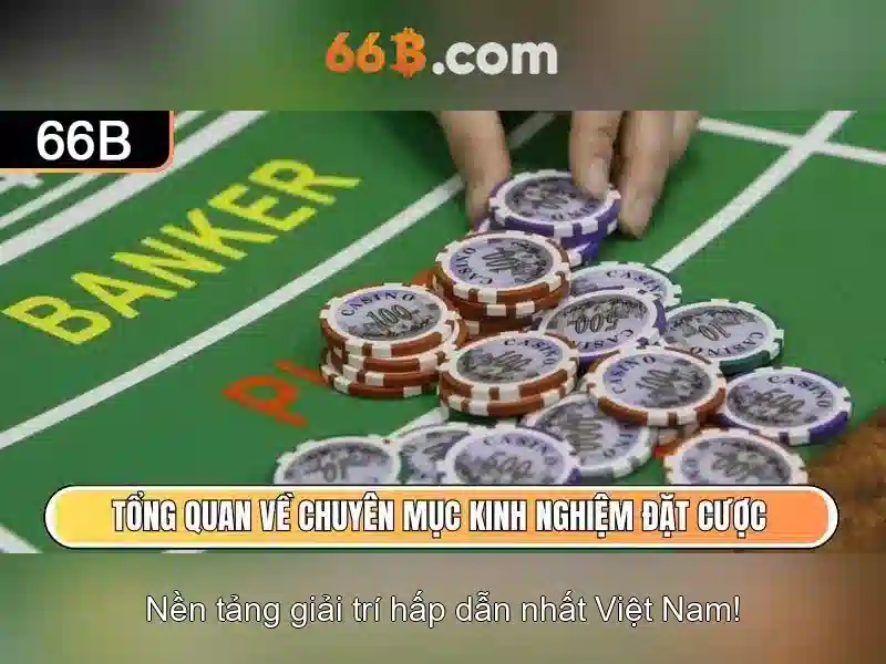 Kiến trúc và tham số