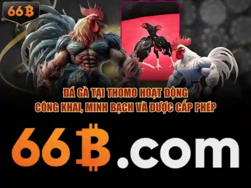 app 66b download – Giới thiệu sáng tạo
