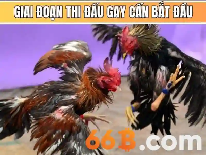 Quy dinh dang ky tai khoan thanh vien 66b