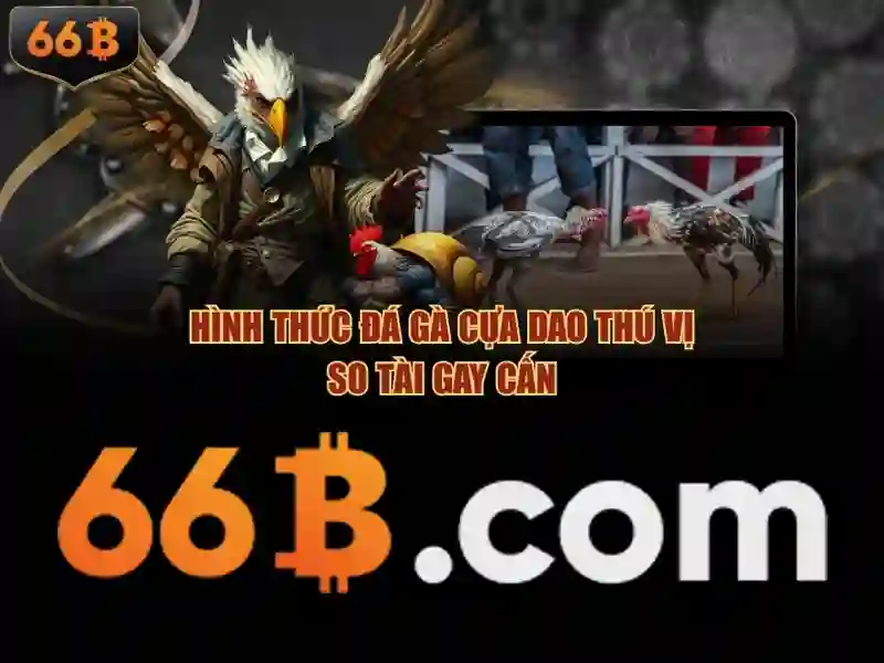 phỏm 66b – Khám phá nguồn cảm hứng và trải nghiệm đỉnh cao