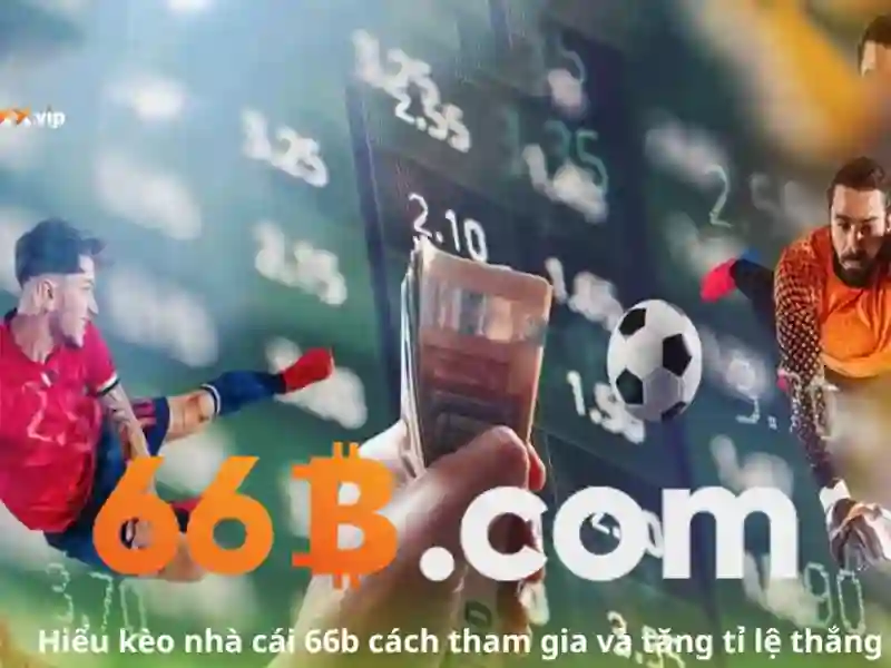 66b là gì và vì sao nó quan trọng