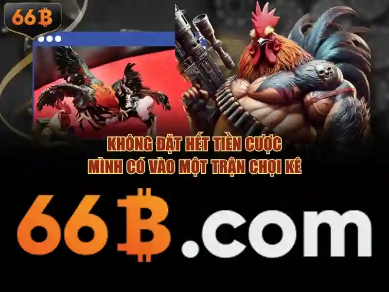 Ứng dụng tiềm năng