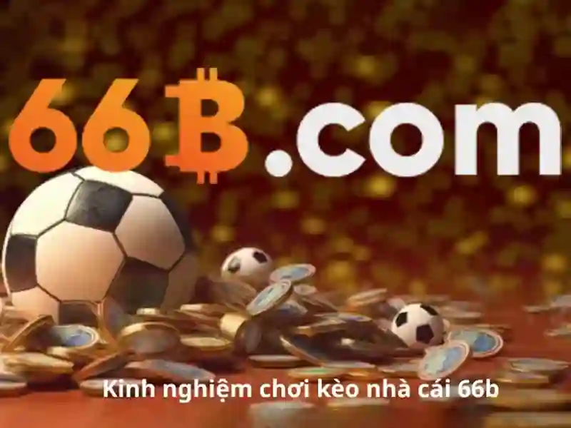 66b: Tổng quan và ứng dụng