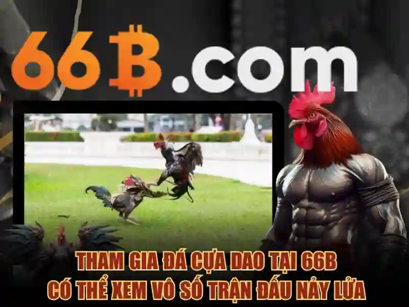 đăng xuất 66b – Định vị thương hiệu và trải nghiệm người dùng